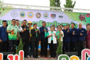 เพชรบูรณ์ จัดงานเทศกาลอาโวคาโดเขาค้อ-กาแฟ ประจำปี 2567