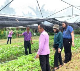 วิสาหกิจชุมชนเกษตรอินทรีย์บ้านวังร่อง อ.หล่มสัก จ.เพชรบูรณ์ ได้รับคัดเลือกเป็นตัวแทนการประกวดวิสาหกิจชุมชนดีเด่นระดับประเทศปี 2568