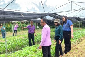 วิสาหกิจชุมชนเกษตรอินทรีย์บ้านวังร่อง อ.หล่มสัก จ.เพชรบูรณ์ ได้รับคัดเลือกเป็นตัวแทนการประกวดวิสาหกิจชุมชนดีเด่นระดับประเทศปี 2568