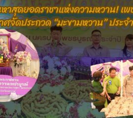 เฟ้นหาสุดยอดราชาแห่งความหวาน! เพชรบูรณ์ประกาศจัดประกวด “มะขามหวาน” ประจำปี 2569