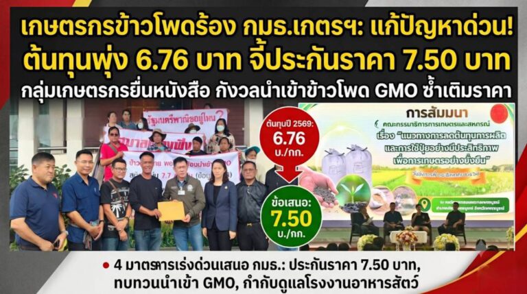 วิกฤตข้าวโพดเลี้ยงสัตว์เพชรบูรณ์: เกษตรกรบุกร้อง กมธ.เกษตรฯ แฉส่วนต่างราคาพุ่ง-จี้รัฐเบรกนำเข้า GMO ช่วงเก็บเกี่ยว